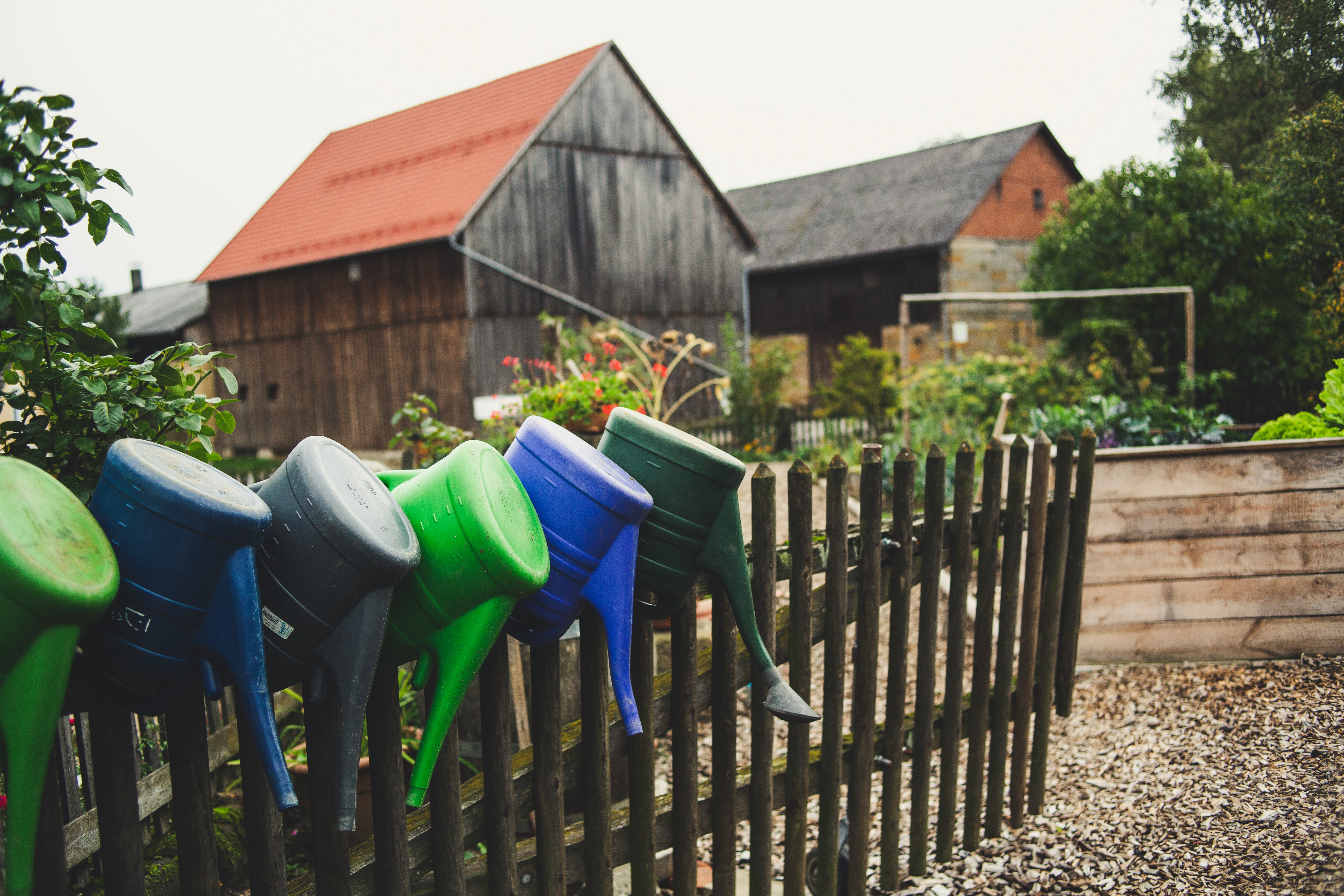 green blue and red plastic trash bins